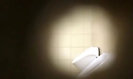 spy in toilet porn mp4 video