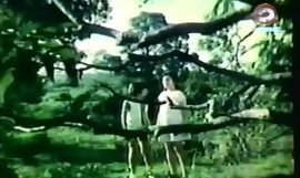 Darna together with the Giants (1973)