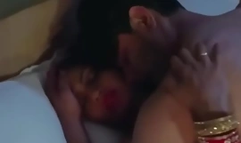 Desi Bhabhi Nuevo Sexo Video 2020