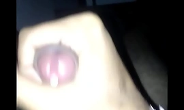 Ich schickte dieses Masturbation Video auf Whats App an einen Indianer einsam bhabhi in Jaipur