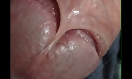 szűz pénisz nagyon közelről látható, és a pénisz fejének bőrzárja látható