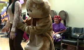 Festa no salão com os quatro e incomparável dança urso db8979