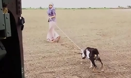 Arabka gospodyni dupa pieprzenie i dubaj seks the booty drop point 23km szeroko