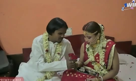 デシ インド 結婚式 初夜 性交